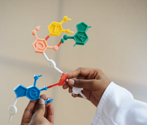 Three Major Areas of Epigenetics