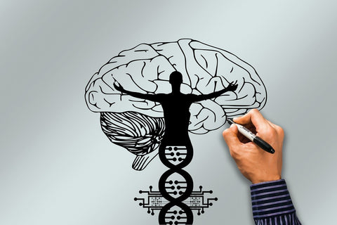 Epigenetics: Unlocking the Mysteries of Gene Expression